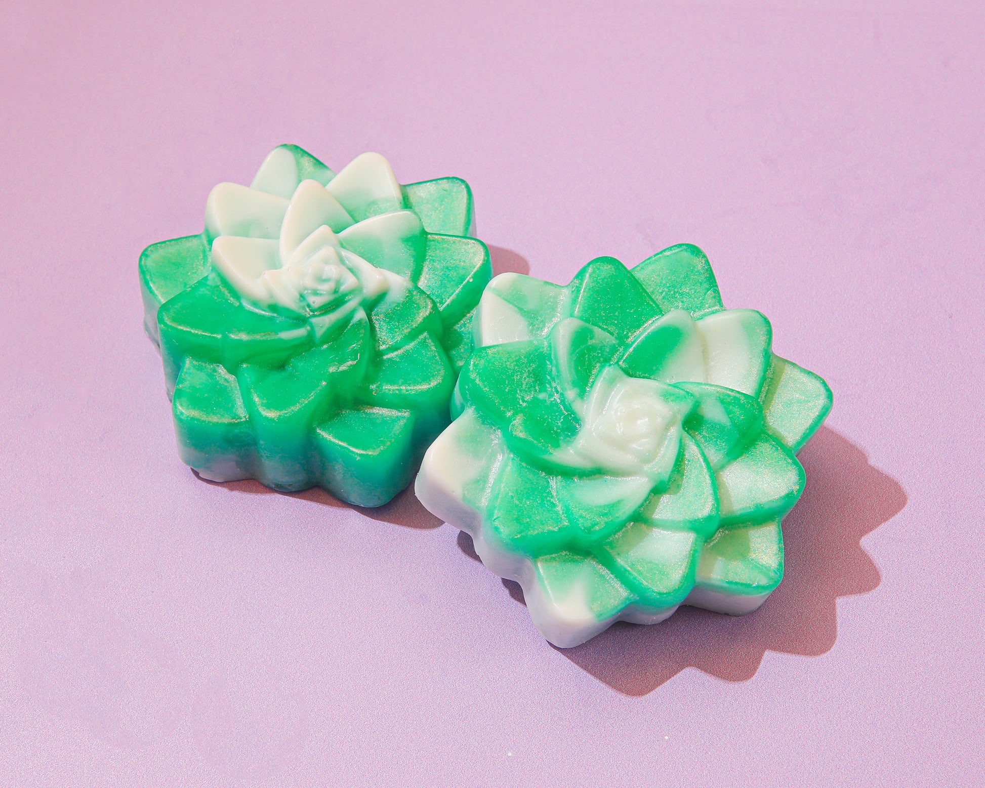Succulent Bloom Soap Kit