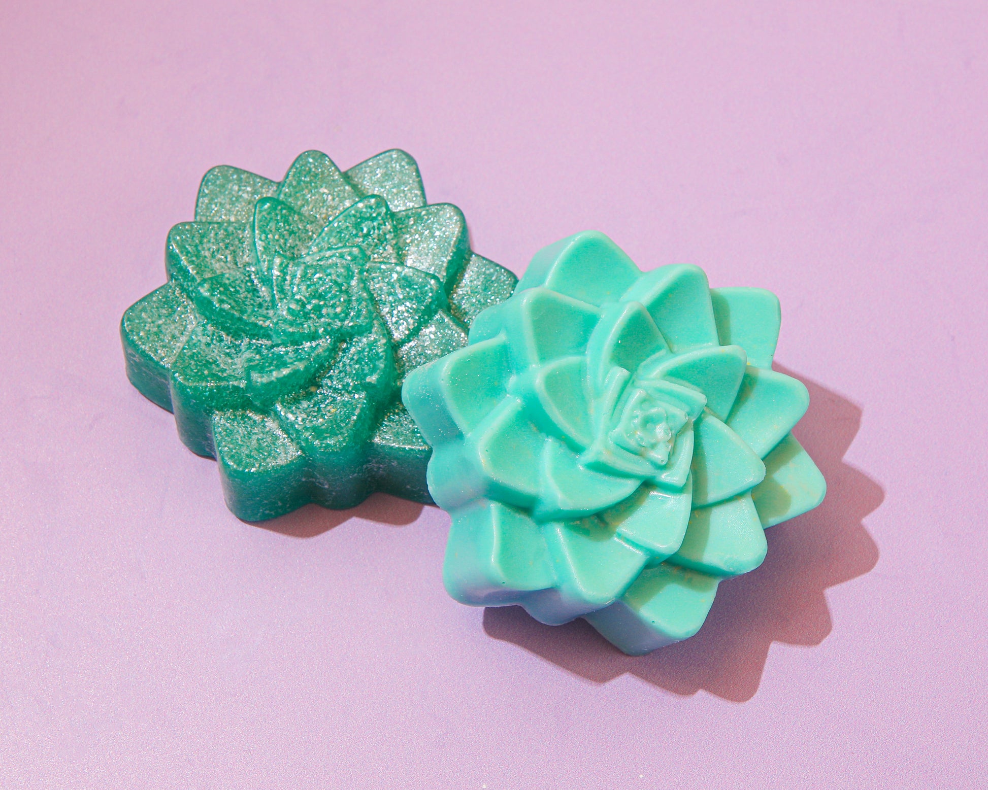Succulent Bloom Soap Kit